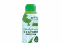 Madam hong aloe vera Madam-Hong-aloe-vera
