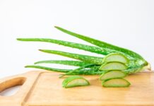 cómo elegir la hoja de aloe vera fresca, y como consumirla de manera segura. ALOE-VERA-FRESCA